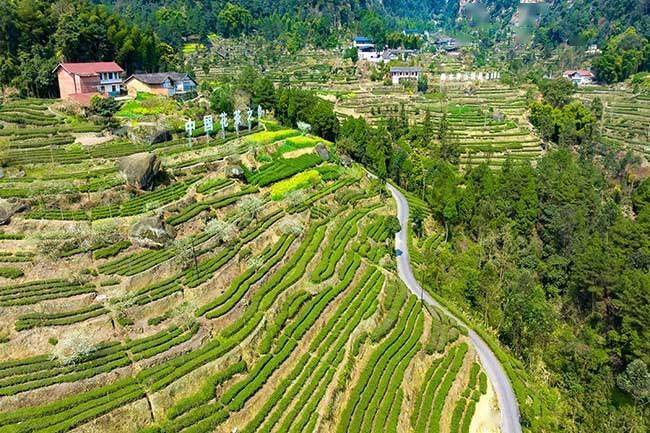 省市先进名单公布快看荣县哪些入选