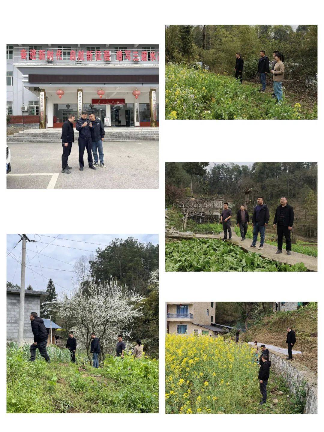 3月20日,文家店镇党委副书记,政法委员陈小龙带队到我乡开展禁种铲毒