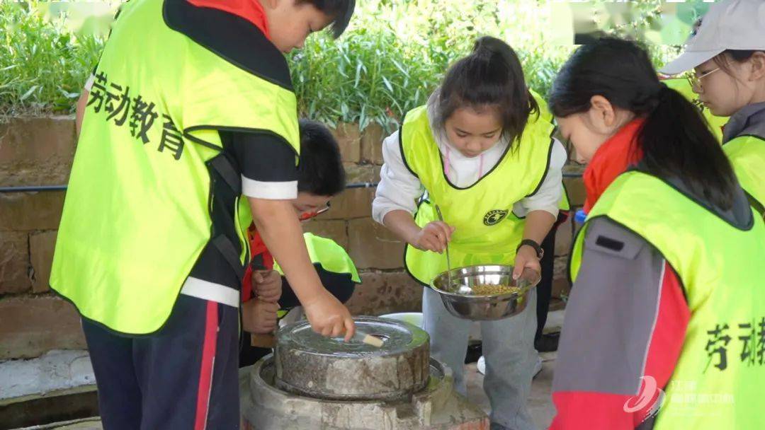 全脱产江津300余名师生体验耕读传家