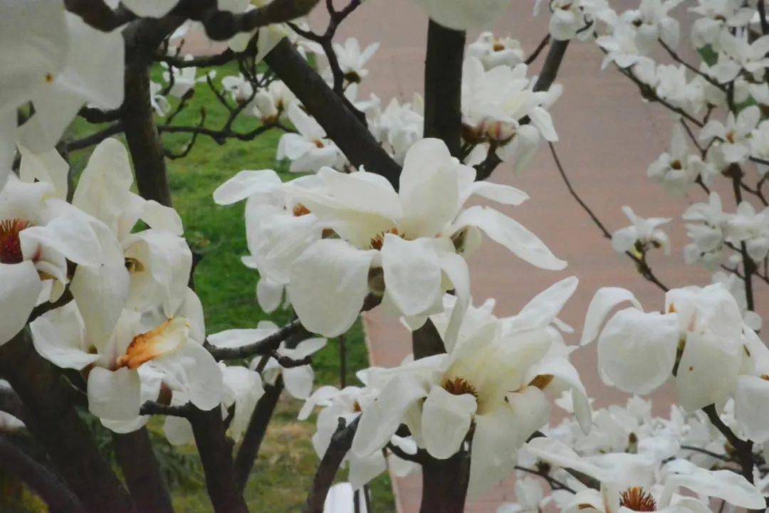 安阳工学院河南财政金融学院河南城建学院平顶山学院黄淮学院郑州工程