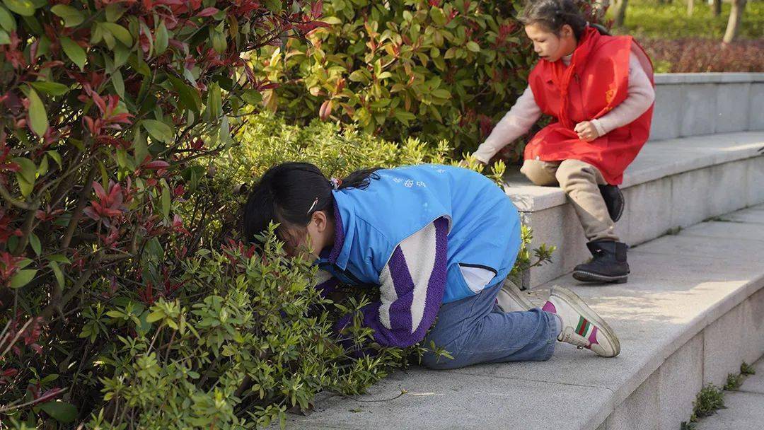 微洪江丨河小青争做生态文明建设实践者