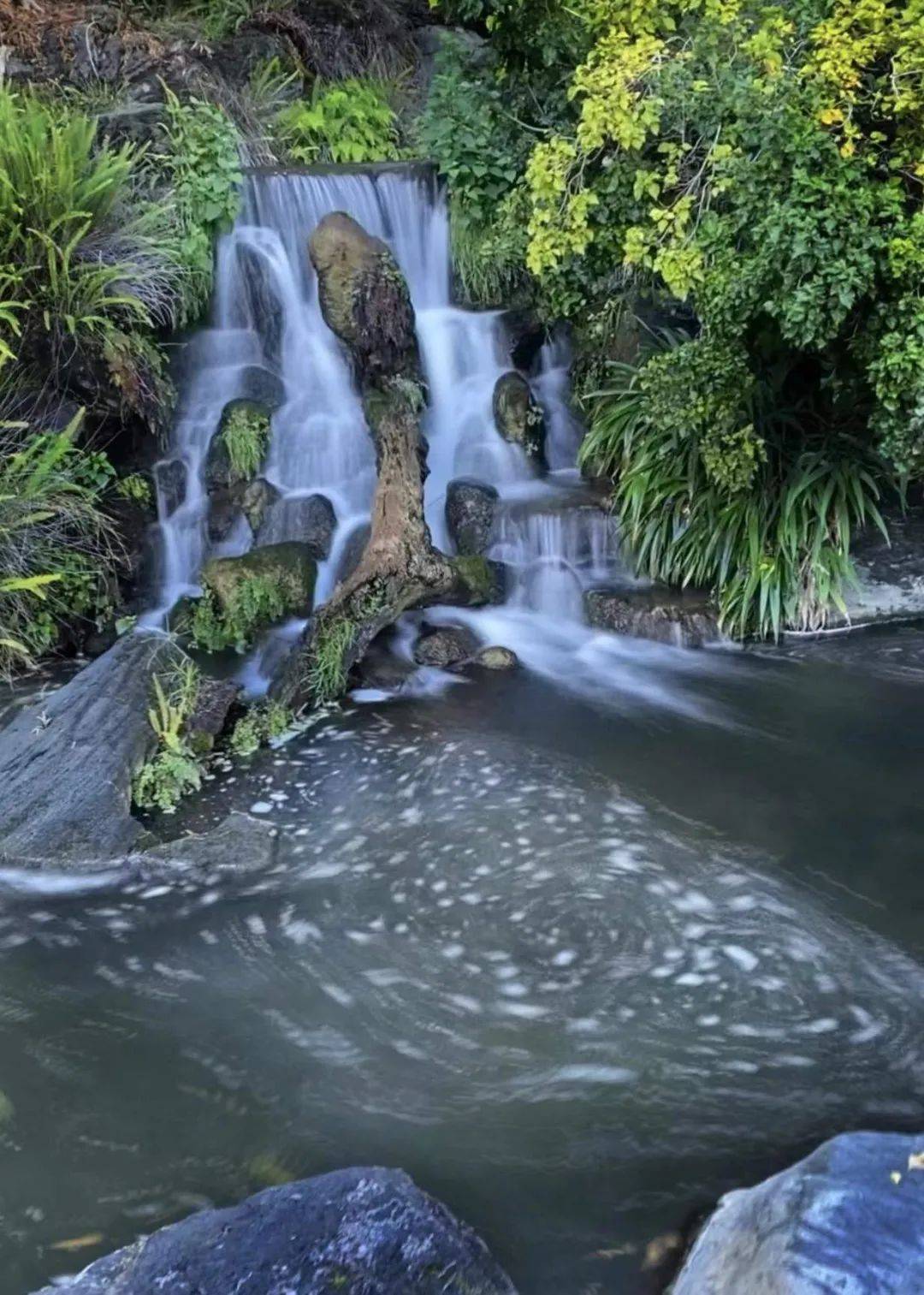 回首往昔,洛杉矶慢生活:海港清新,湖光山色;花车依旧,唯美公主