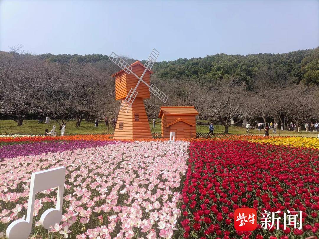 花展将呈现多个国内外设计师创意花园,其中包括4个国际花园,4个主题