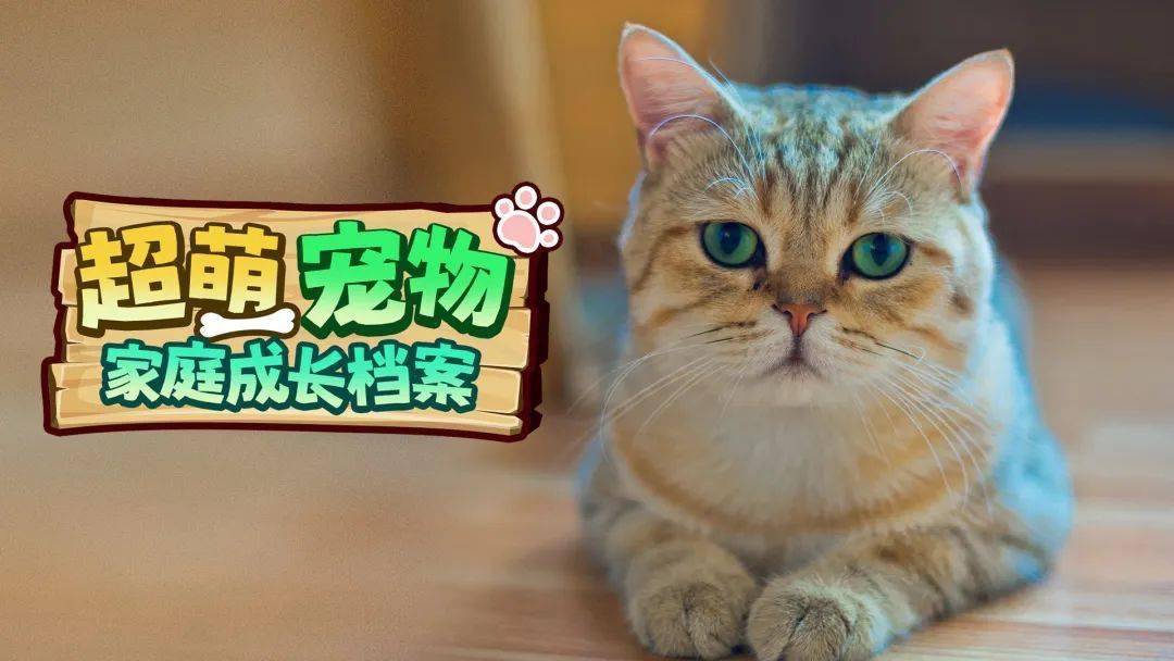 怎么美食世界也要打工上班啊?这里的食物全都成精