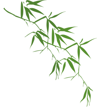 教育不应该仅仅是训练和灌输的工具,还应是发展认知和引导创新的手段.