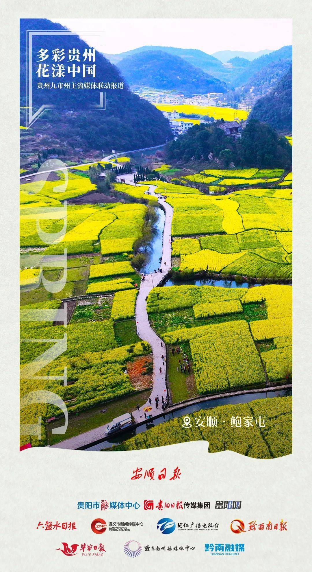 "多彩贵州·花漾中国" 市州联动报道丨安顺:"花样经济"奏响乡村振兴"