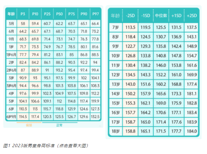 正常生长速率:1.幼儿期>8cm/年;2.儿童期5~7cm/年;3.青春期>6cm/年.