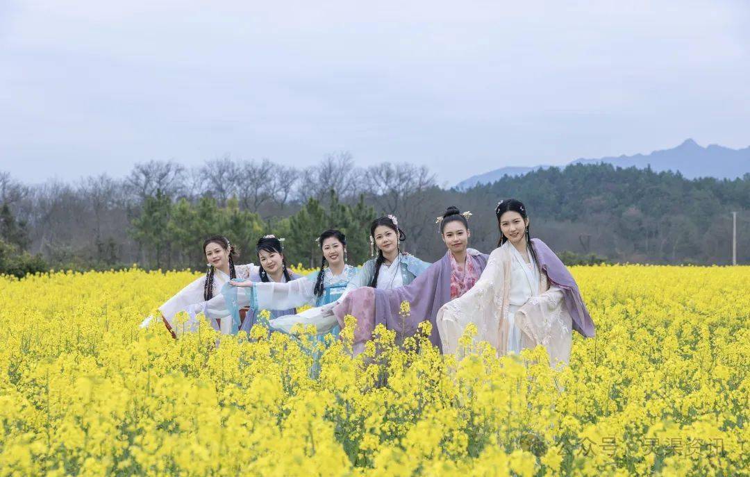 赏春花看春日兴安最强赏花攻略来啦