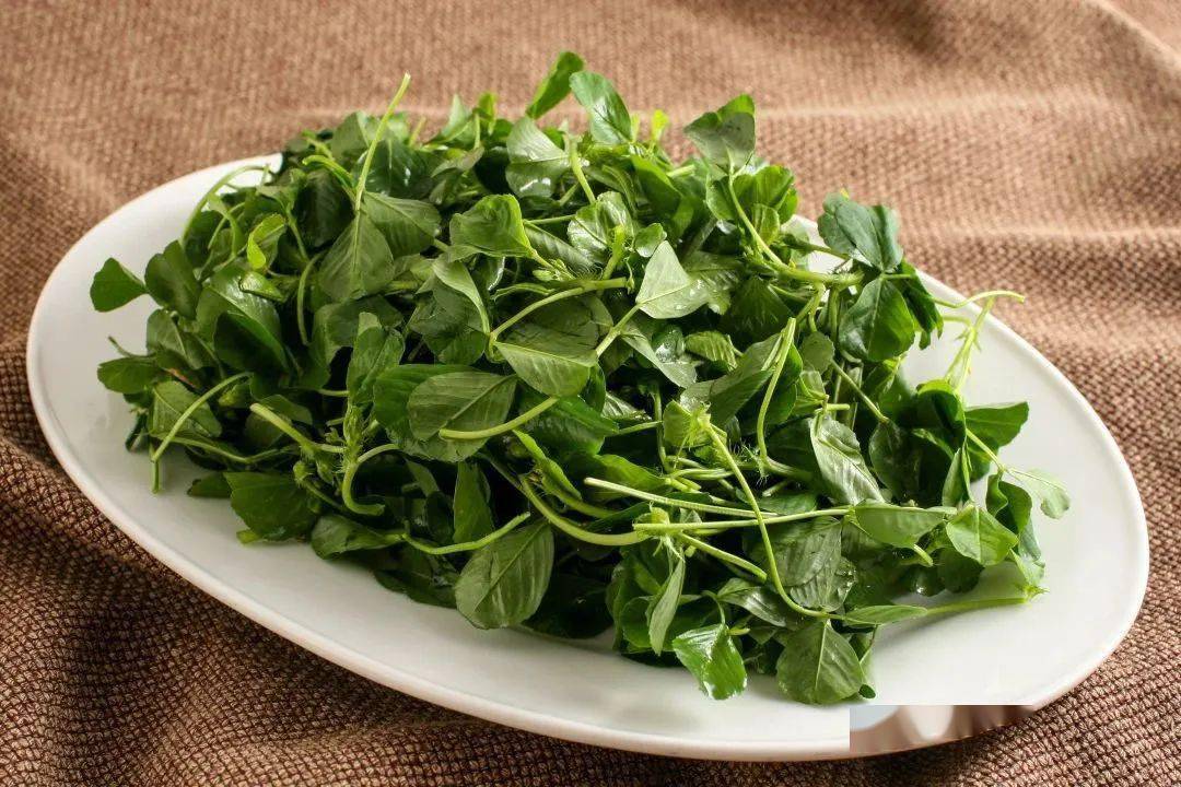 传统美食 ▎老上海草头饼,一缕新鲜的青草味,蓬松酥软,咸香可口,清爽