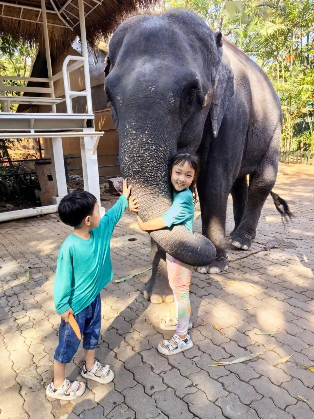 好玩不输长隆美食香过成都不愧是遛娃天堂二胎妈妈的独家攻略太种草
