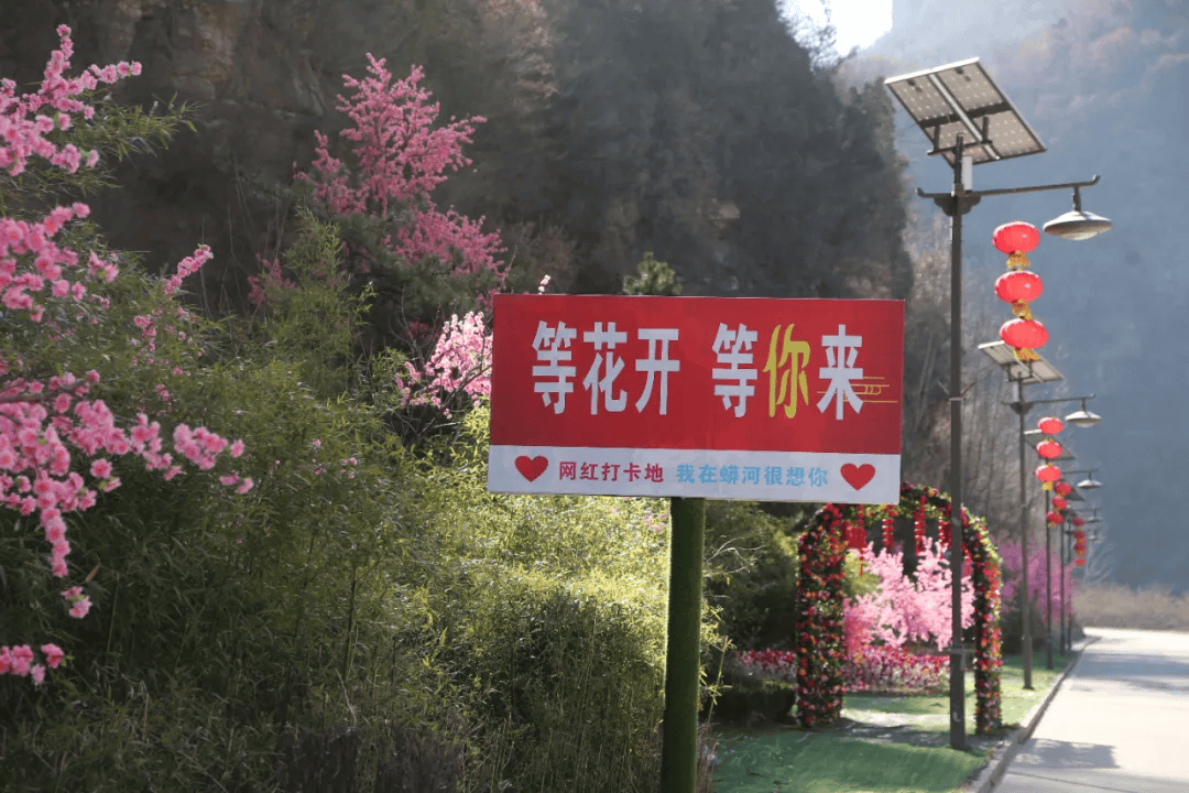 等花开,等你来,蟒河景区门票半价!