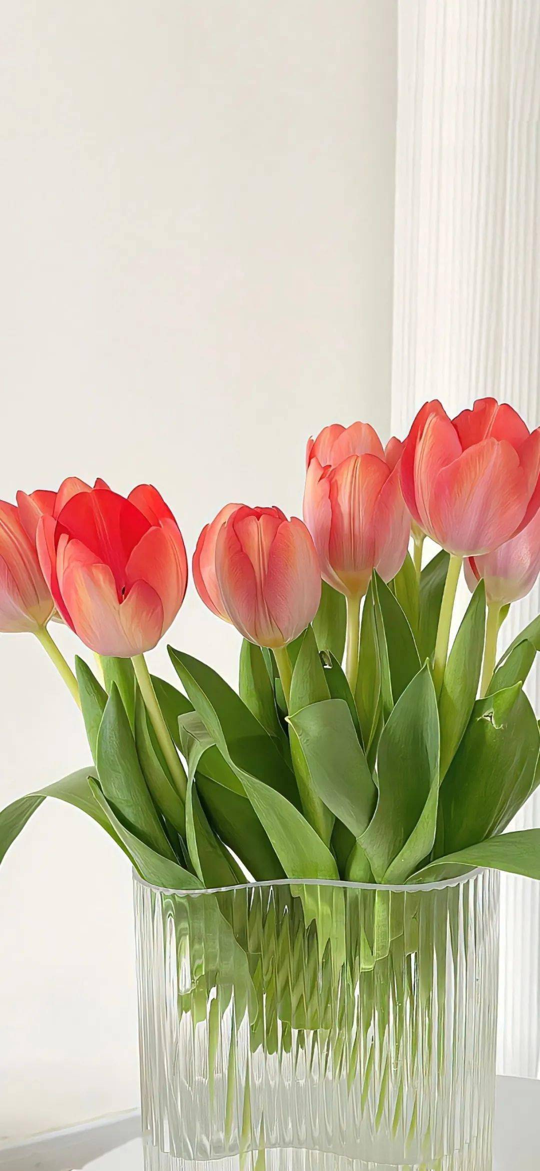 壁纸一组舍不得换的手机壁纸