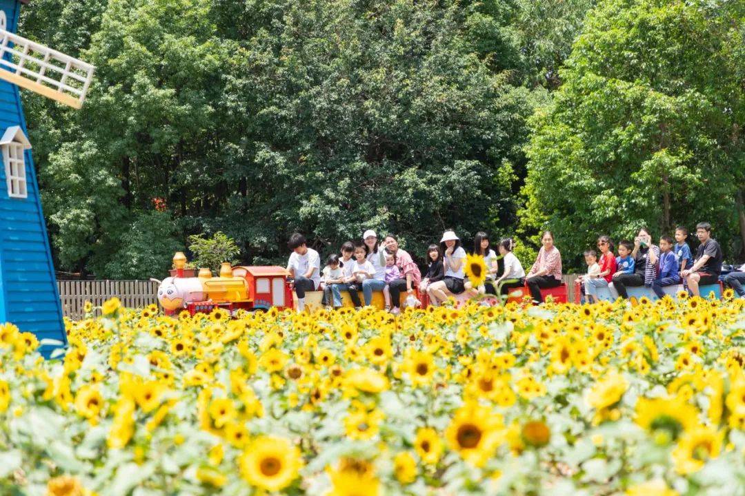 "莓"好时光,麻涌创艺蓝莓采摘季,等你来!_活动_旅游_文化