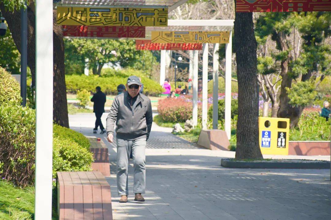 在曹杨漫步拍下了100张舍不得删的照片