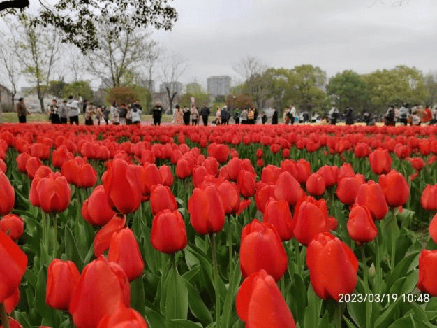 城市记忆湖州长岛公园