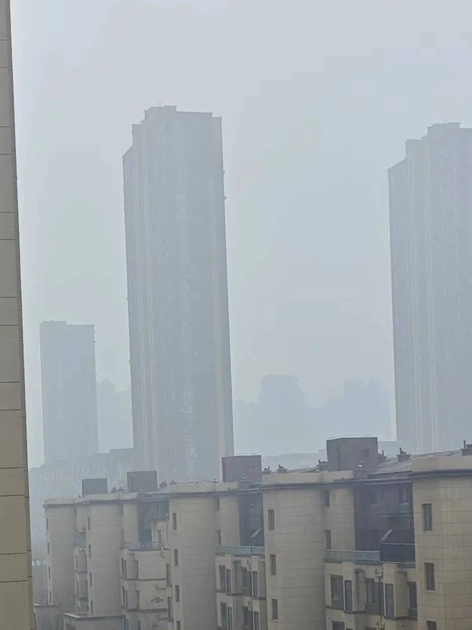 紧急通知沈阳发布大雾橙色预警高速关闭