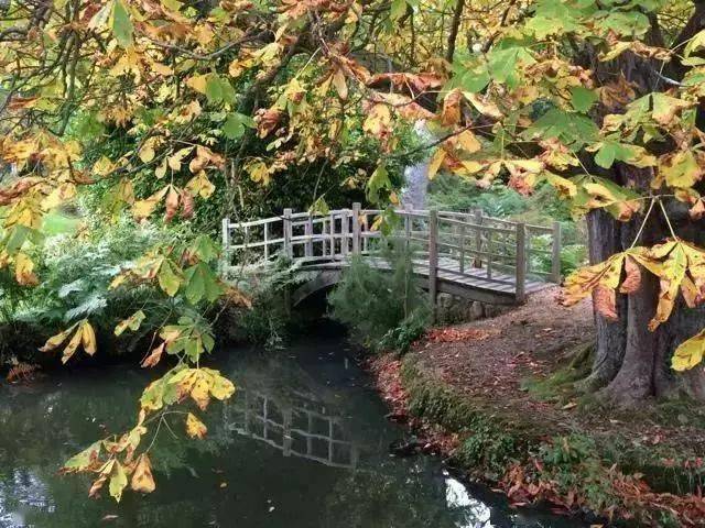 世界上最美的十大花园_品种_garden_园艺