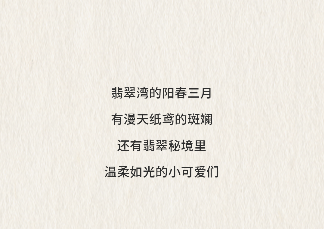 微信公众号花样漳州 文旅之声官方抖音号漳州文旅官方小红书colorful