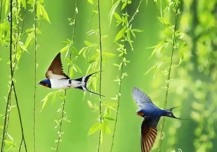 一夜春风几度深 | 李小民_华原_太极_石门
