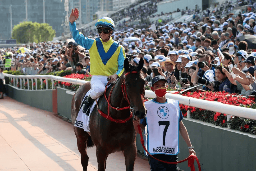 甄子丹见证,"大至尊"问鼎宝马香港打吡大赛_先生_马主_赛马会