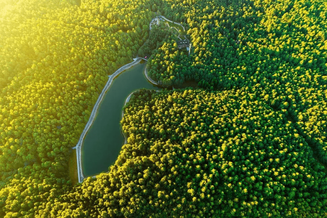 4条精品线路带你走进武定秘境之旅