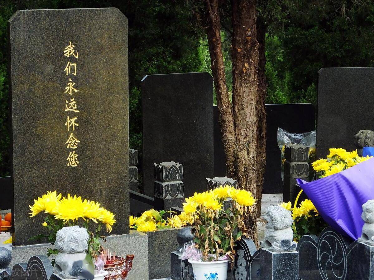 清明节是重大的春祭节日,扫墓祭祀,缅怀祖先,这一习俗已经延续了上