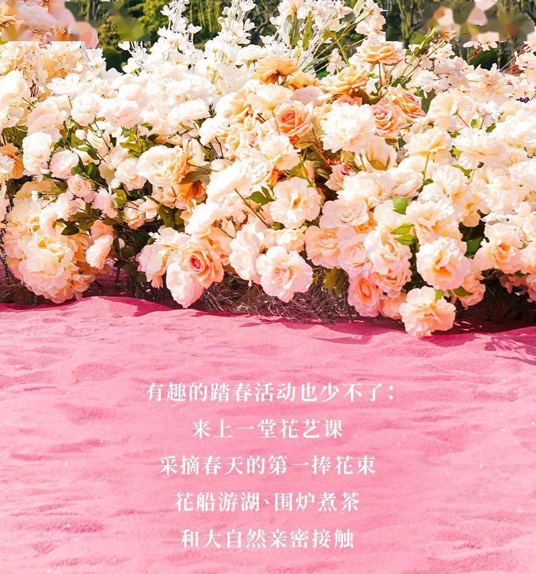 阳春三月,上海各处郁金香盛开,带来春天的第一份讯息,而鲜花港正是