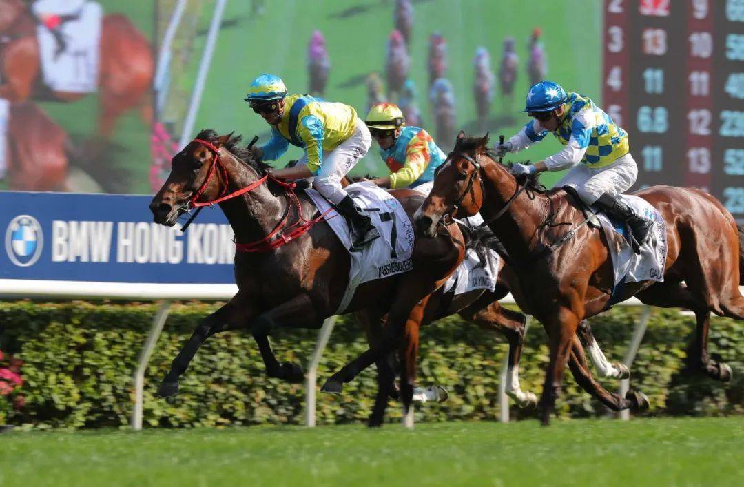 潘顿)早段「紧张大师」,「状元及第」及「飞鹰翱翔」争持不下拉快步速