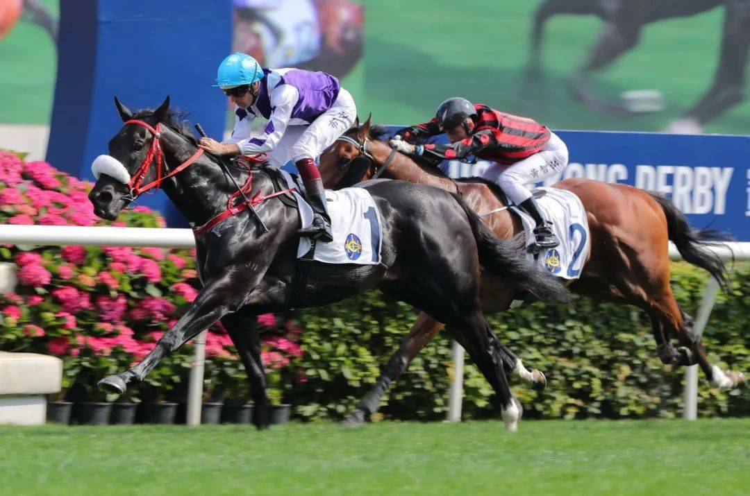 四岁功名大至尊再展惊人爆炸力攻陷打吡