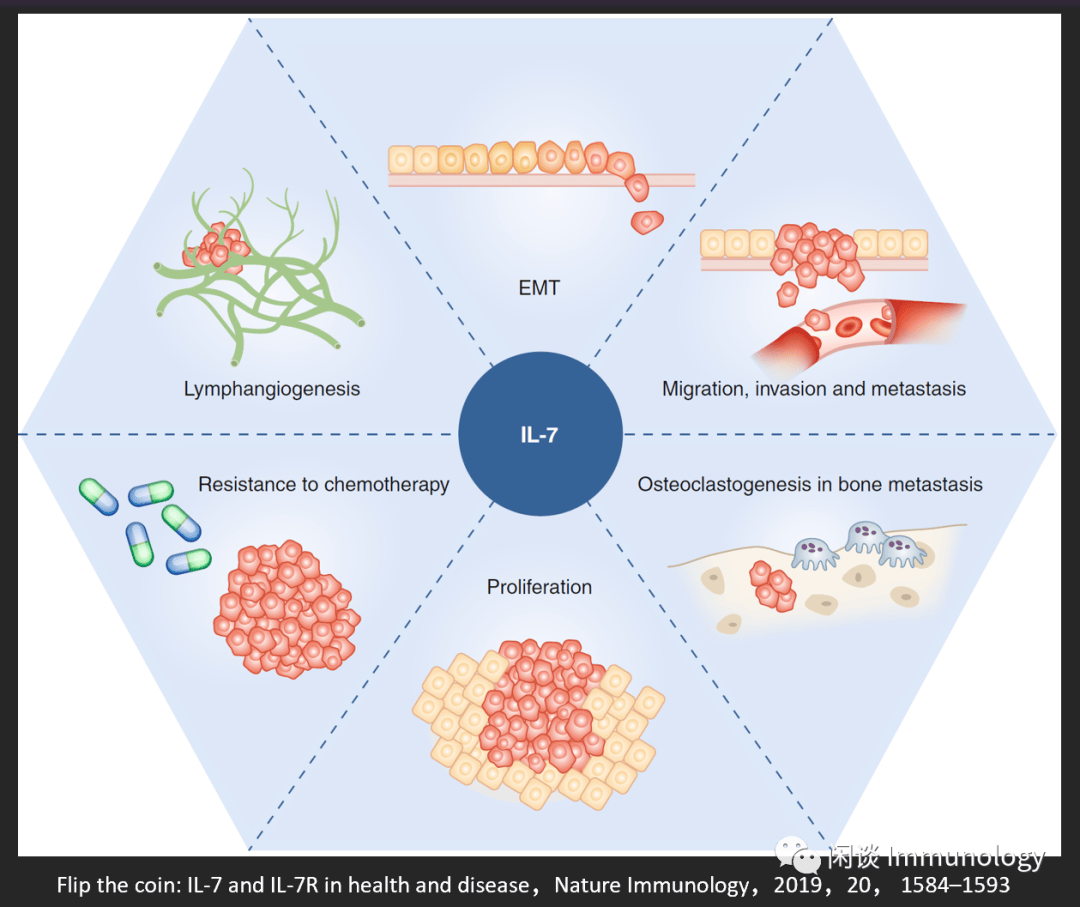 肿瘤免疫微环境的15个细胞因子