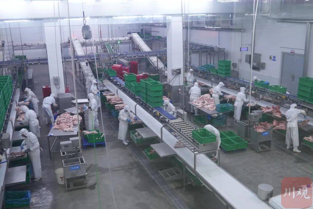 巴中龙大肉食品有限公司分割车间提升猪肉精深加工能力"屠宰项目让