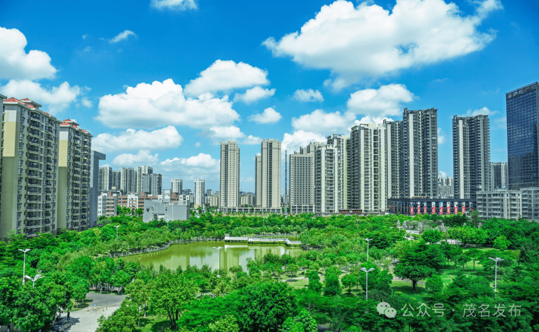 不负春光一起为茂名的春天充植