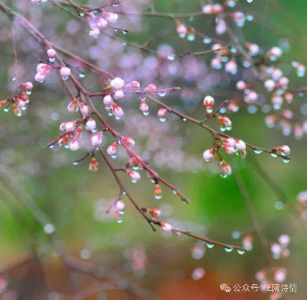 陈岩明春风春雨