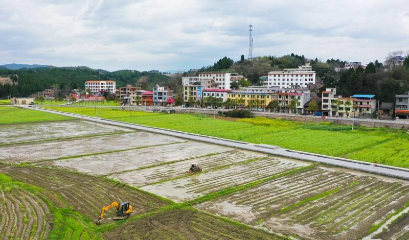 新田:春花香 耕田忙(组图)_新田县_刘贵雄_蒋文慧