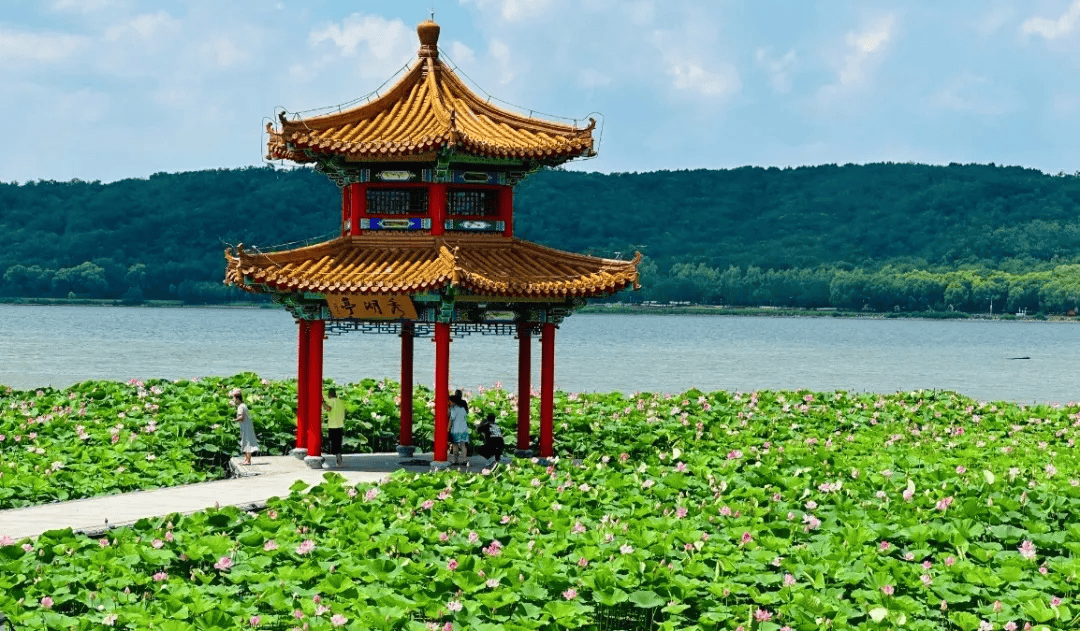 于洪丁香湖康平卧龙湖生态湖景024沈北稻梦空间,新民三农博览园,浑南