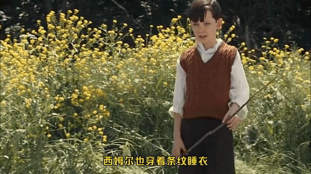 一张铁网下的两种人生穿条纹睡衣男孩的悲惨故事