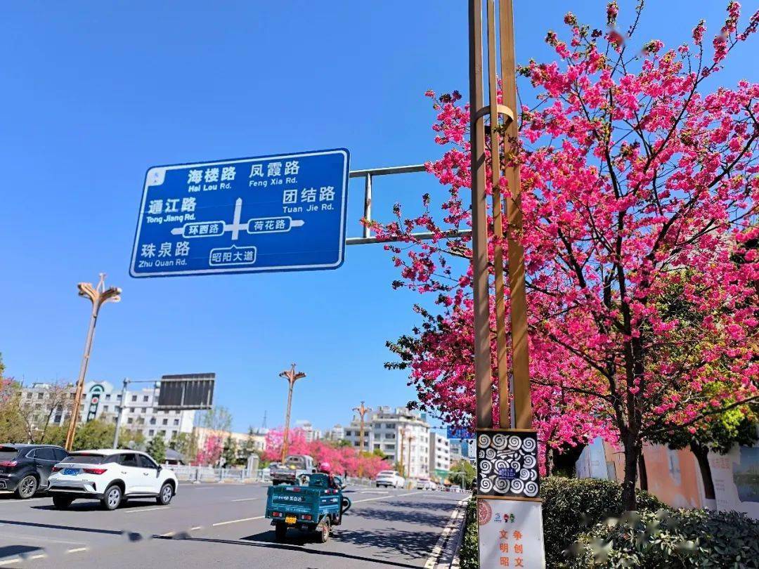 凤霞路图片