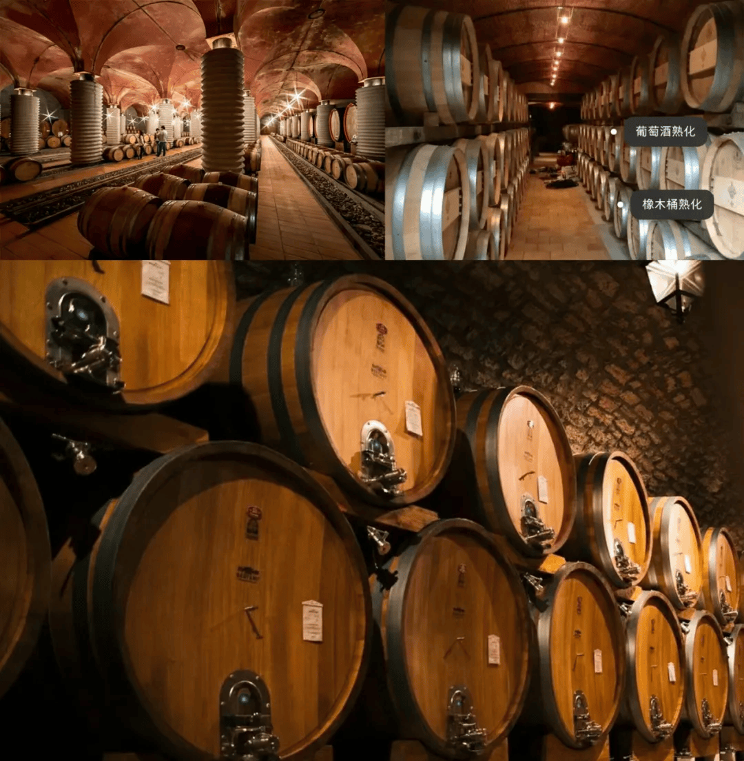 2024王炸09折抢西班牙进口半甜白冰雪皇后百年酒庄亲签米其林专供