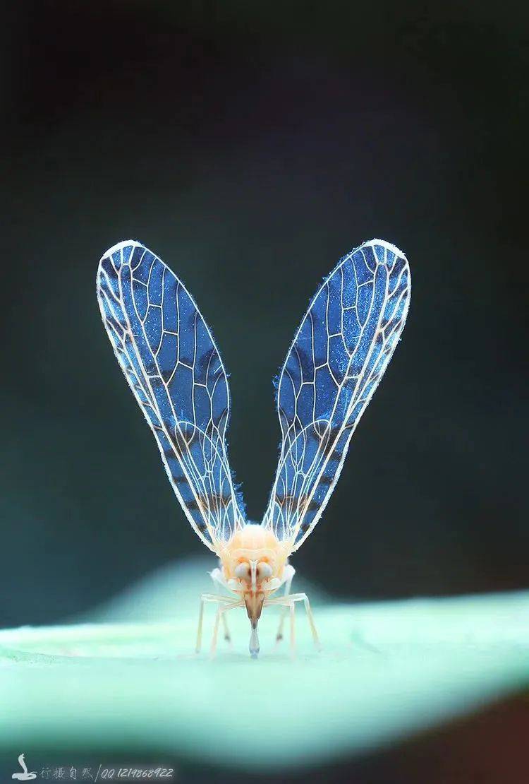 广西清明放假十一天打工人实名羡慕了