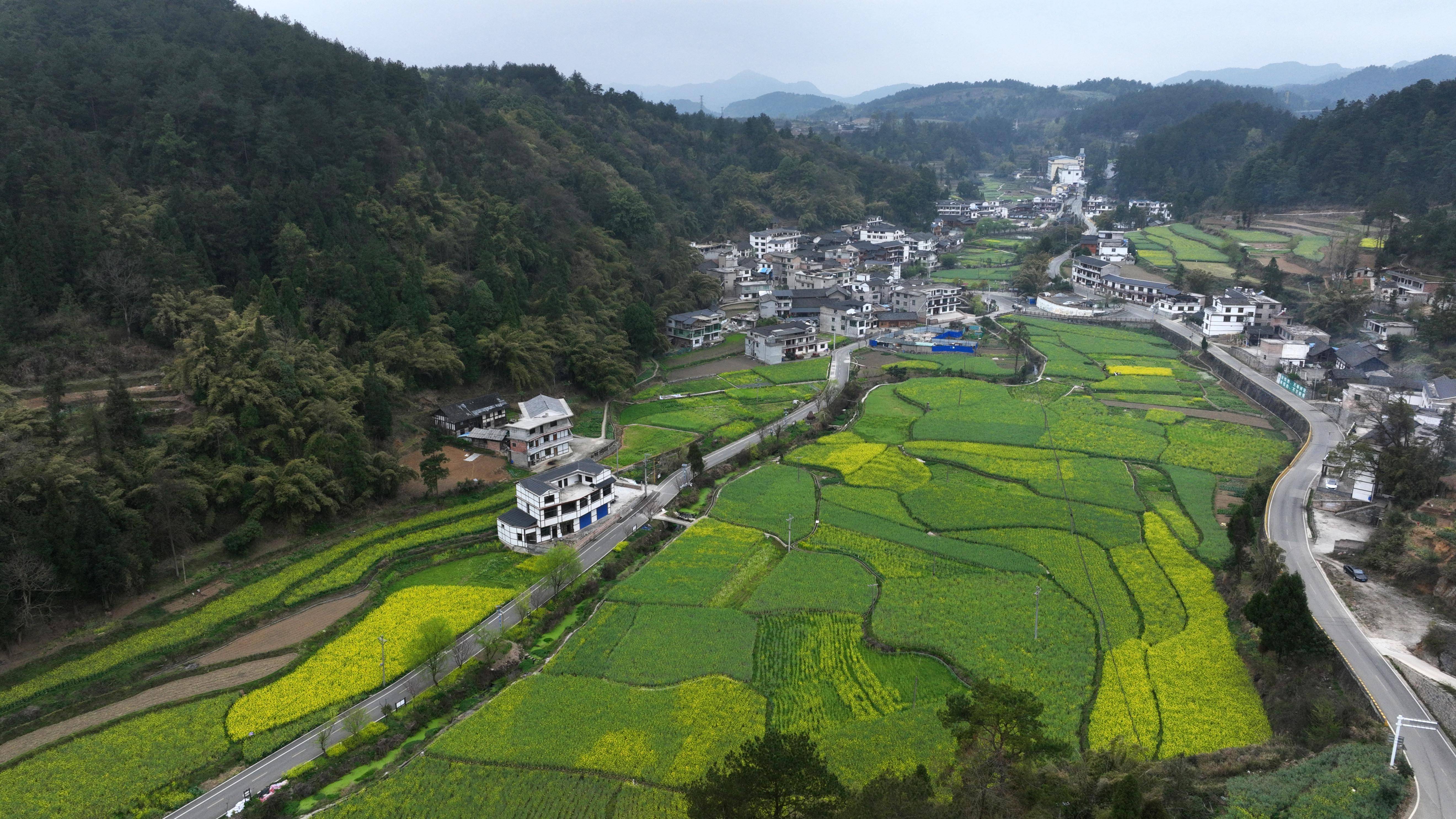 贵阳王岗村图片