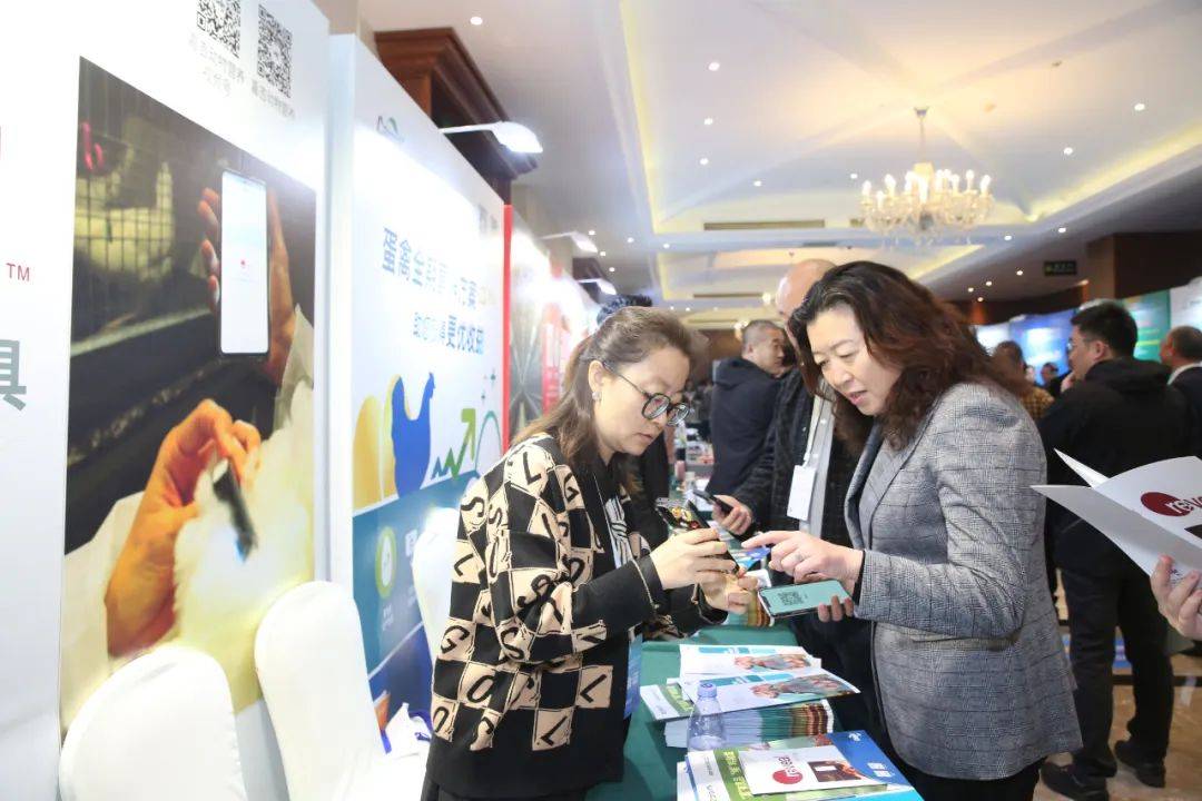 格局与应变未来规模蛋鸡发展与三种行业主流服务模式