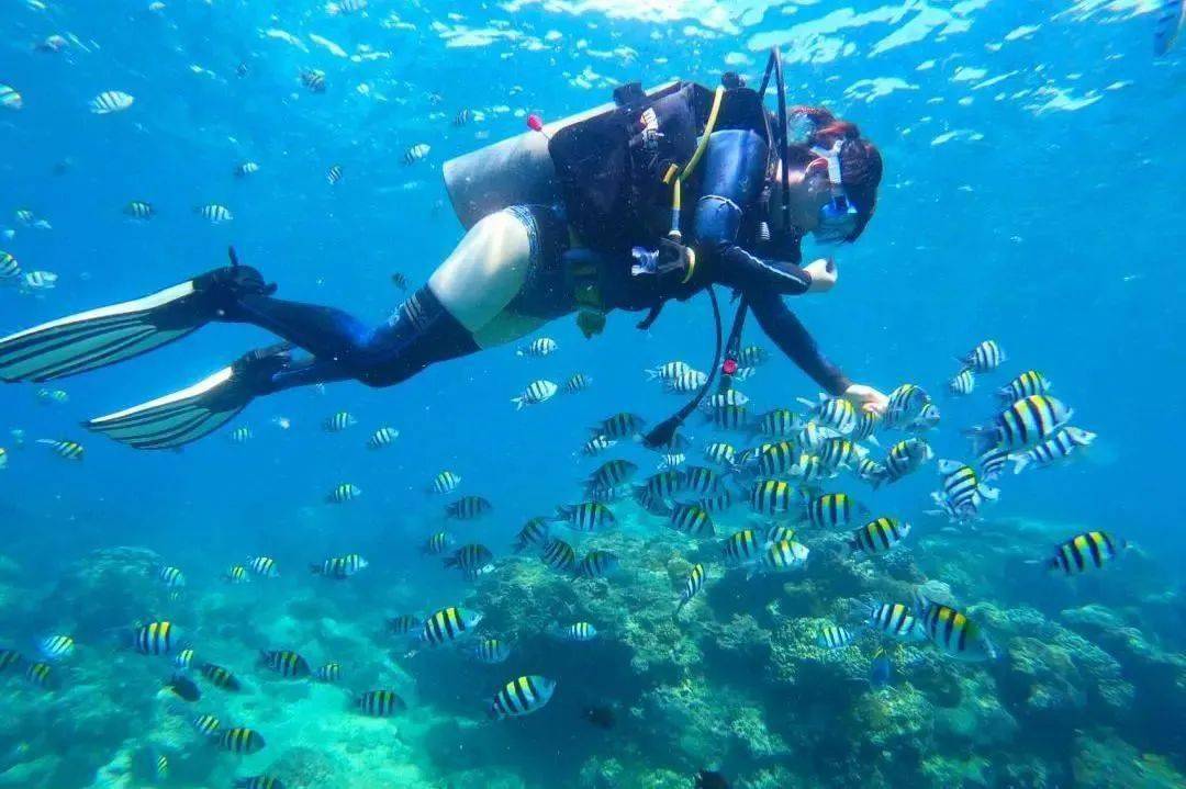 真的不要认为三亚潜水都是"坑"
