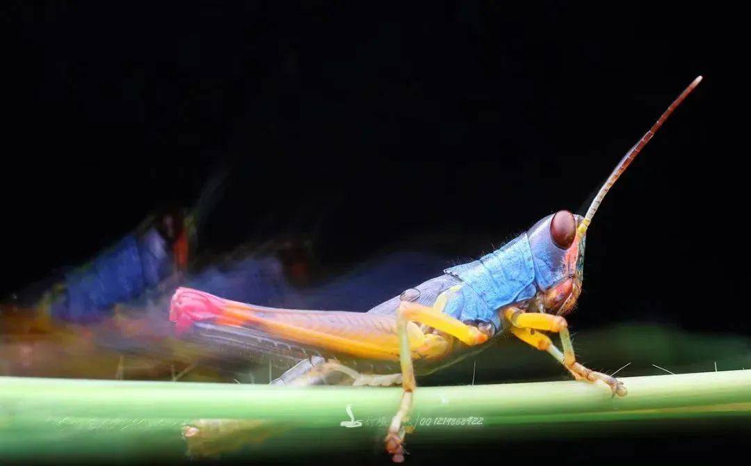 广西清明放假十一天打工人实名羡慕了