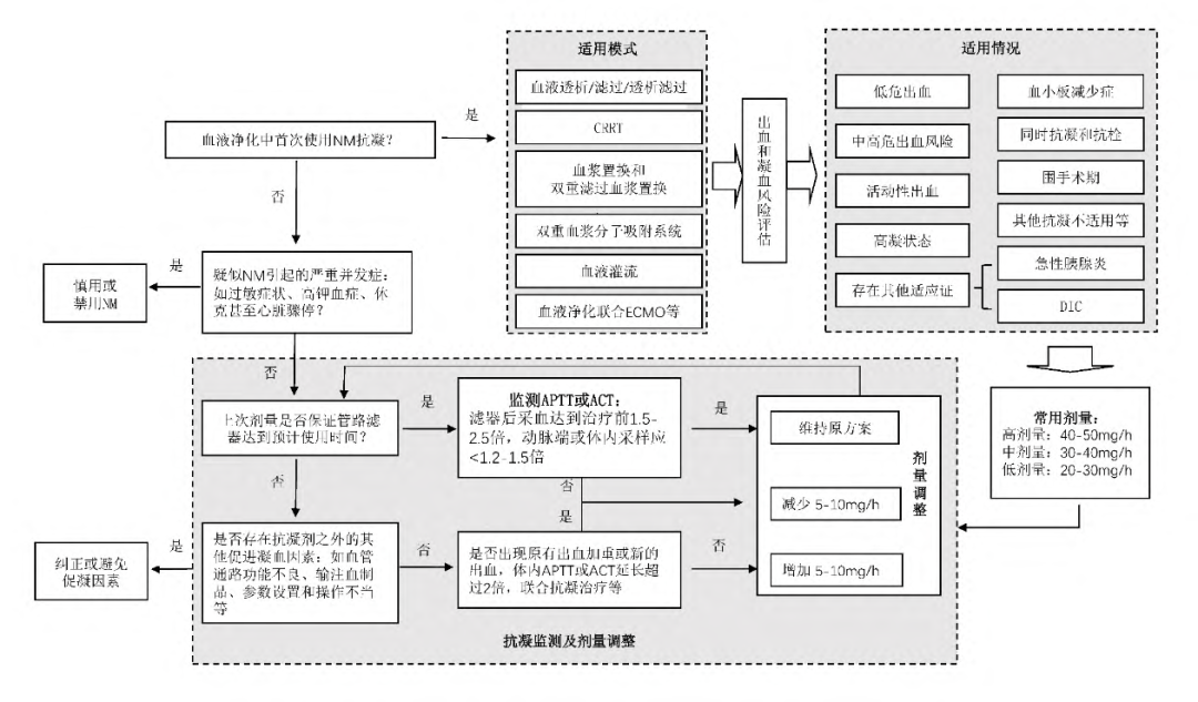 体外局部抗凝,萘莫司他如何应用?剂量怎么调整?
