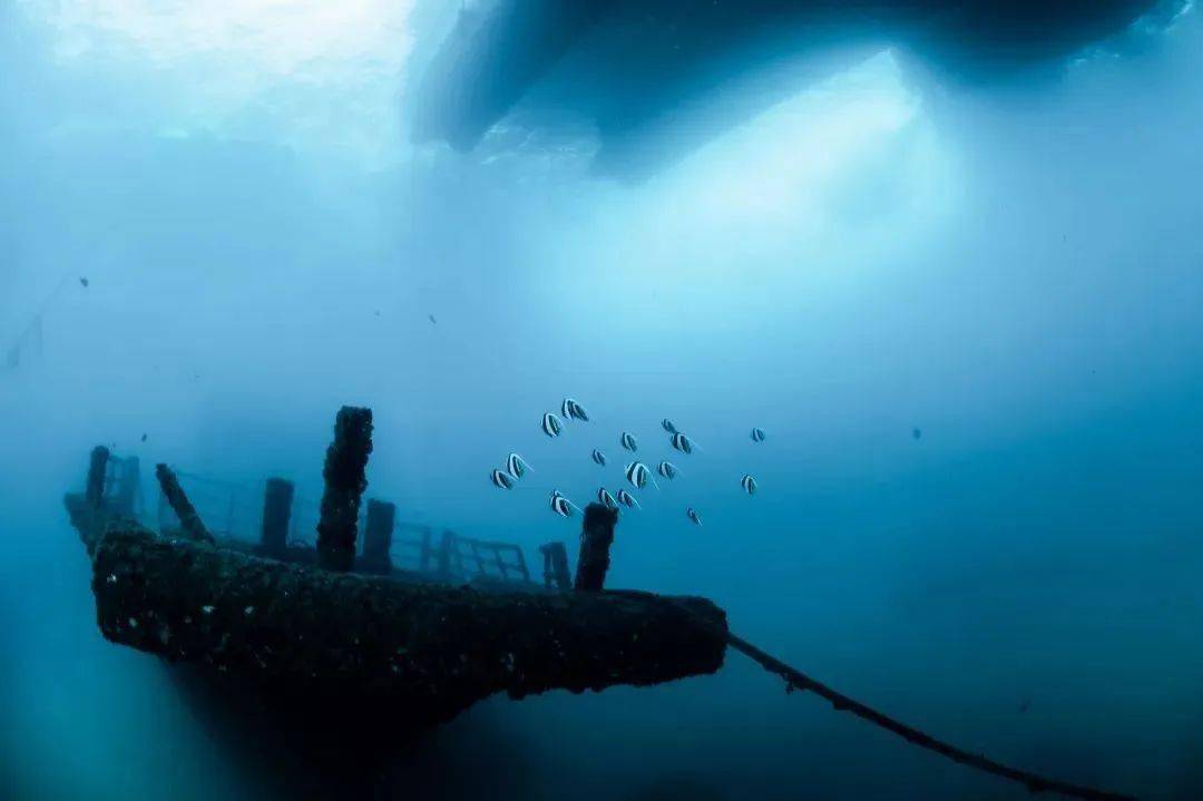 不要再误解三亚了真实的潜水体验等你来探索