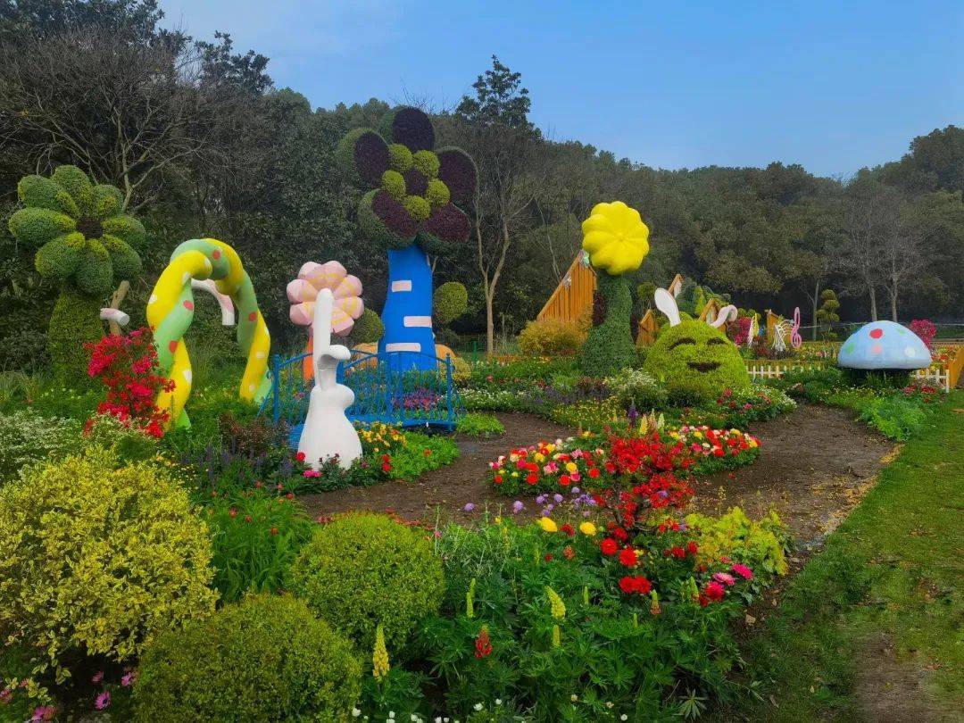 共青森林公园春日的花海盛宴即将拉开序幕现场探秘