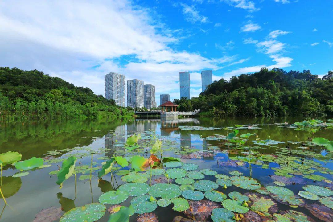 "稀客"来江门啦!欢迎"小精灵"~_中华_地区_自然保护区