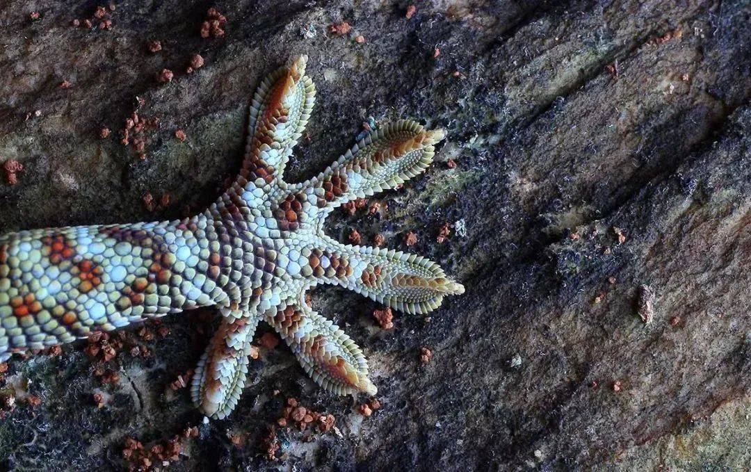 广西清明放假十一天打工人实名羡慕了