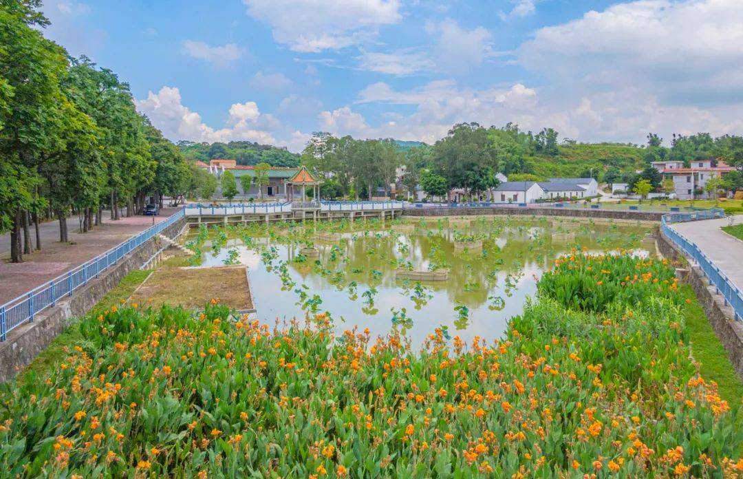 "稀客"来江门啦!欢迎"小精灵"~_中华_地区_自然保护区