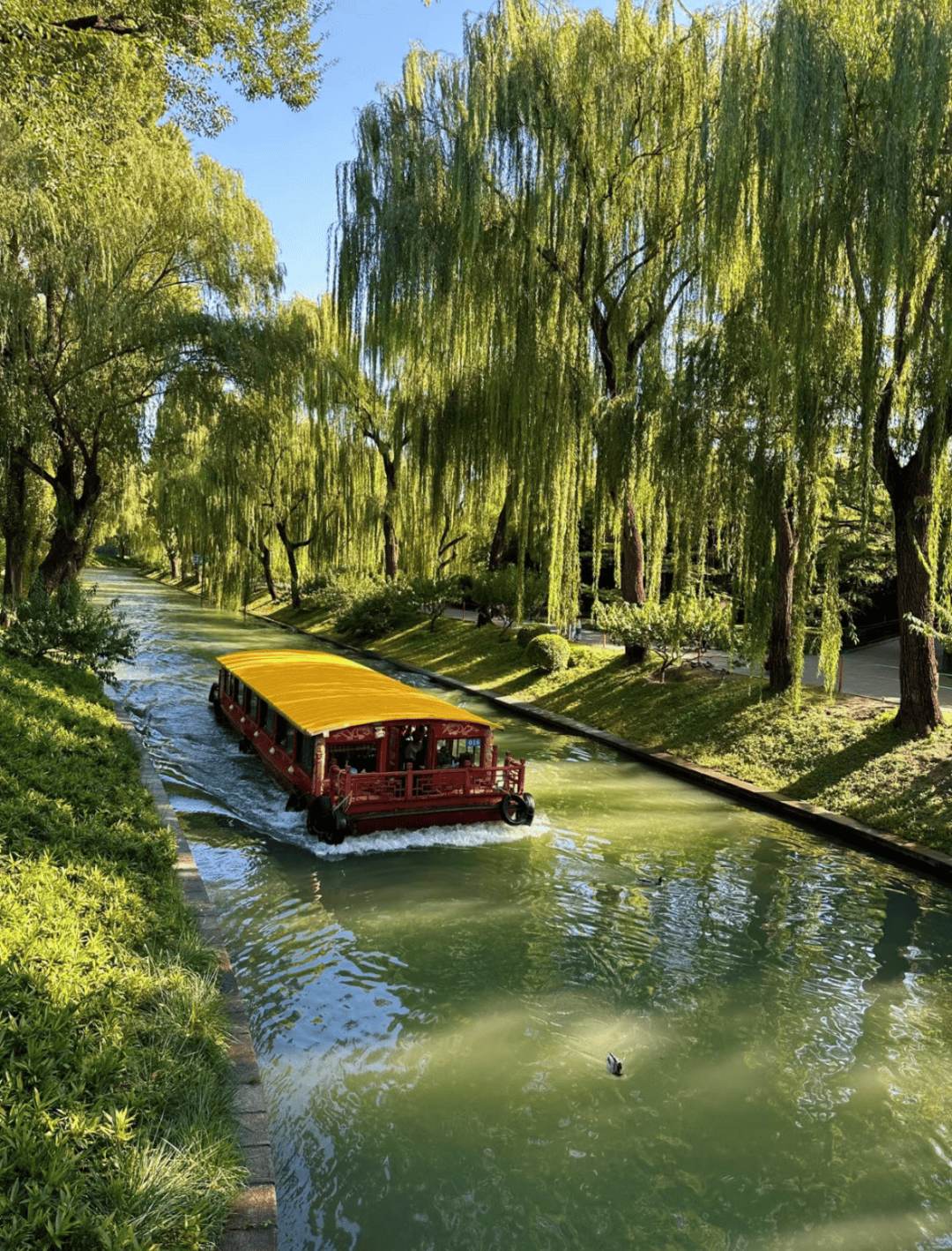 划船漫步赏花~海淀春日出游好去处